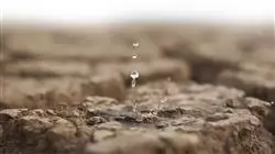 ##IMAGE##