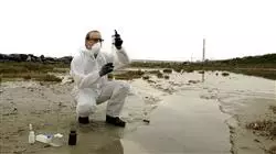 ##IMAGE##