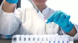##IMAGE##