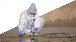 ##IMAGE##