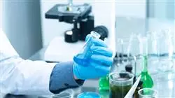 ##IMAGE##