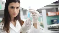 ##IMAGE##