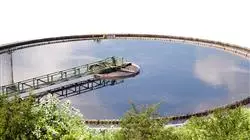 ##IMAGE##