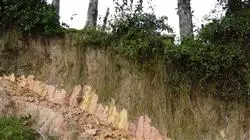 ##IMAGE##
