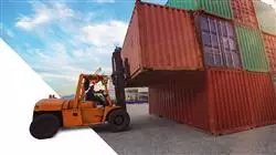 diplomado online logistica maritimo portuaria servicios portuarios