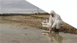 ##IMAGE##