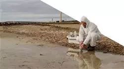 ##IMAGE##