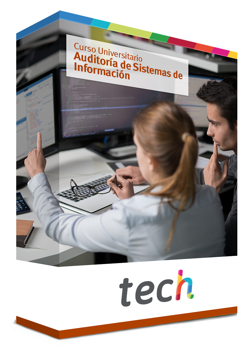 diplomado auditoria sistemas informacion caja