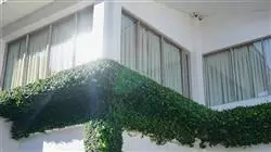 ##IMAGE##