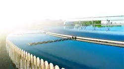 ##IMAGE##