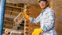 especializacion online sectores novedosos