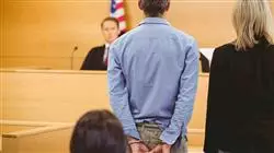 maestria online derecho penal economico empresa