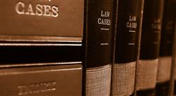 especializacion responsabilidad penal de las personas jurídicas i