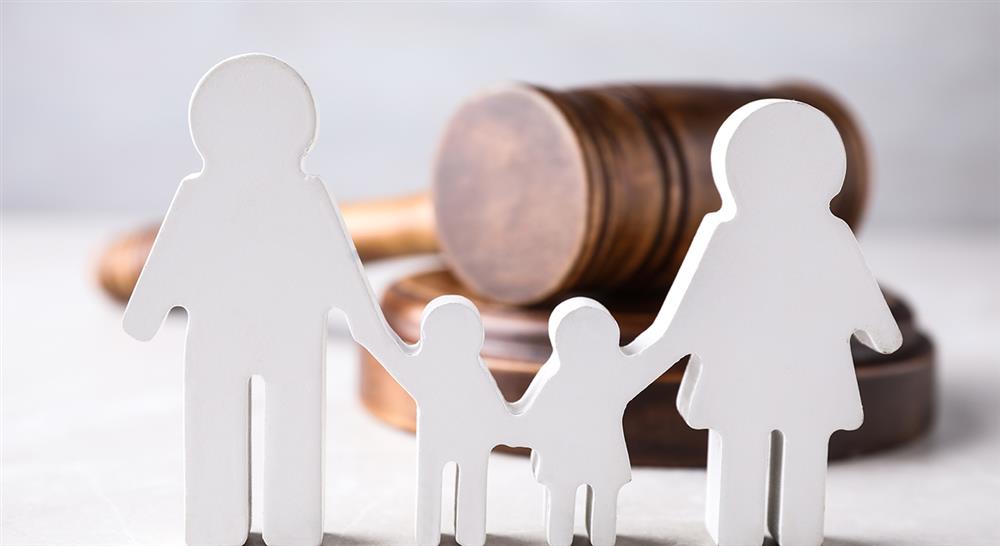curso los efectos personales y patrimoniales del matrimonio