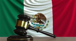 master la constitución mexicana y efectos procedimentales