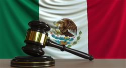 formacion derechos humanos en el derecho mexicano