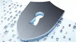 diplomado online proteccion derechos humanos ciberespacio