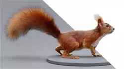 ##IMAGE##