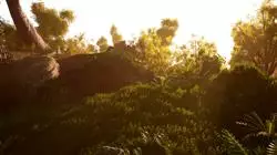 ##IMAGE##
