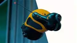 ##IMAGE##