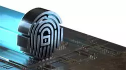 ##IMAGE##