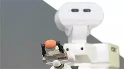 ##IMAGE##