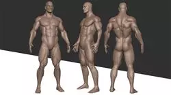 ##IMAGE##