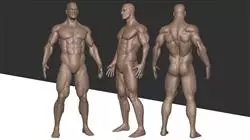 diplomado online modelado 3d anatomico