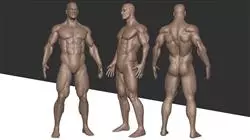 ##IMAGE##