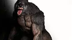 ##IMAGE##