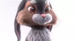 ##IMAGE##