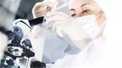 ##IMAGE##