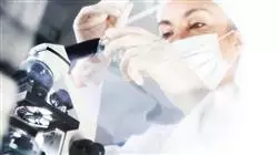 ##IMAGE##