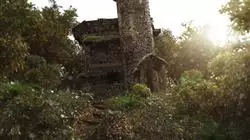 ##IMAGE##