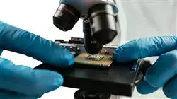 ##IMAGE##