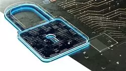 ##IMAGE##