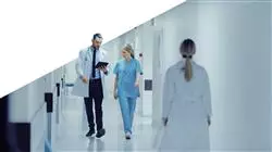 especializacion online sistema sanitario medicina clinica investigacion