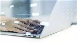 ##IMAGE##