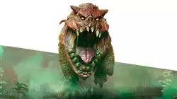 ##IMAGE##