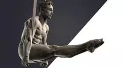 ##IMAGE##