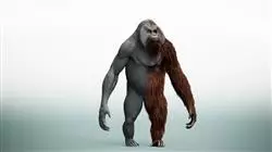 ##IMAGE##