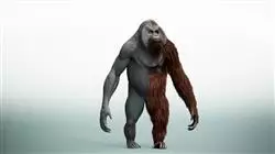 ##IMAGE##