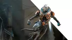 ##IMAGE##