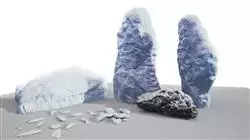 ##IMAGE##