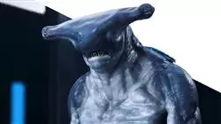 ##IMAGE##