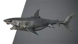 ##IMAGE##