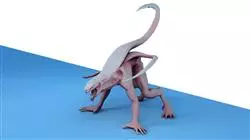 ##IMAGE##