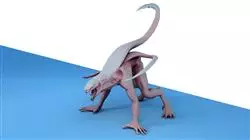 ##IMAGE##