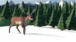 ##IMAGE##