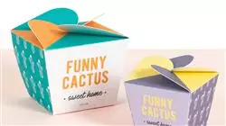 ##IMAGE##